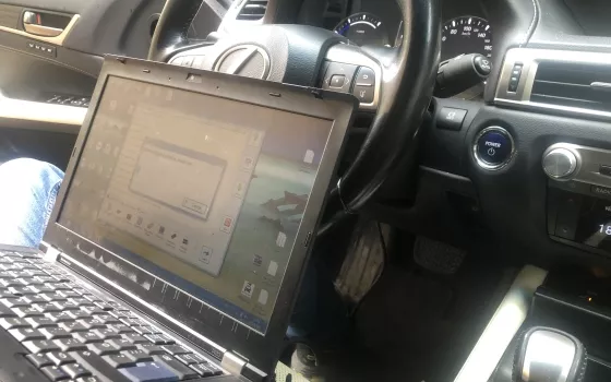 Nemokama rakto ir imobilaizerio čipo patikra