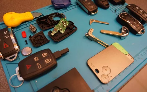 Nemokama rakto ir imobilaizerio čipo patikra